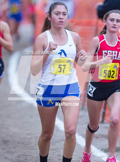 Thumbnail 2 in CIF State Cross Country Championships (Girls D4 Race) photogallery.