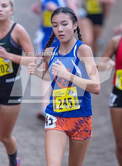 Thumbnail 2 in CIF State Cross Country Championships (Girls D4 Race) photogallery.