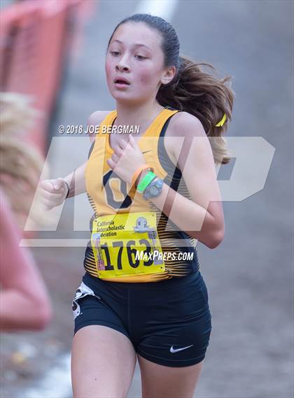 Thumbnail 1 in CIF State Cross Country Championships (Girls D4 Race) photogallery.