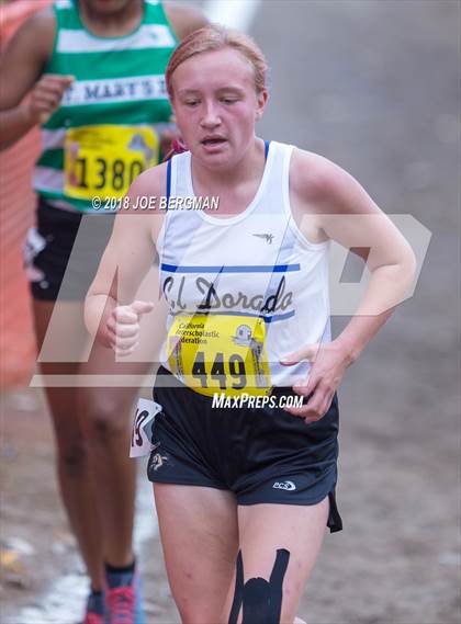 Thumbnail 2 in CIF State Cross Country Championships (Girls D4 Race) photogallery.
