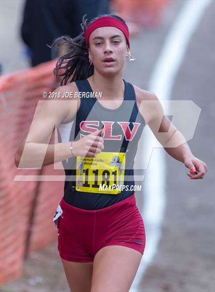 Thumbnail 2 in CIF State Cross Country Championships (Girls D4 Race) photogallery.