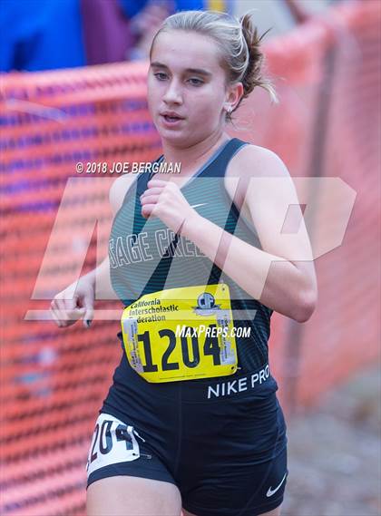 Thumbnail 3 in CIF State Cross Country Championships (Girls D4 Race) photogallery.