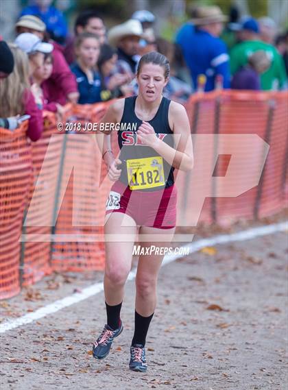 Thumbnail 1 in CIF State Cross Country Championships (Girls D4 Race) photogallery.