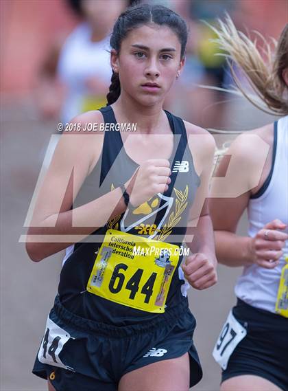 Thumbnail 3 in CIF State Cross Country Championships (Girls D4 Race) photogallery.