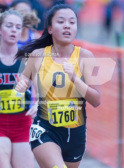 Thumbnail 2 in CIF State Cross Country Championships (Girls D4 Race) photogallery.