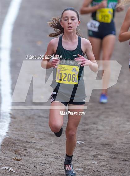 Thumbnail 3 in CIF State Cross Country Championships (Girls D4 Race) photogallery.