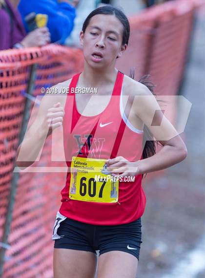 Thumbnail 3 in CIF State Cross Country Championships (Girls D4 Race) photogallery.