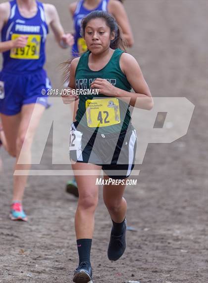 Thumbnail 3 in CIF State Cross Country Championships (Girls D4 Race) photogallery.