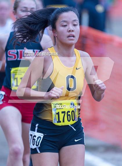 Thumbnail 1 in CIF State Cross Country Championships (Girls D4 Race) photogallery.