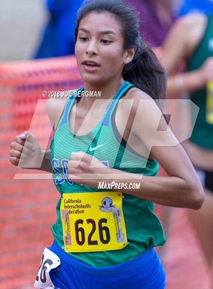 Thumbnail 1 in CIF State Cross Country Championships (Girls D4 Race) photogallery.