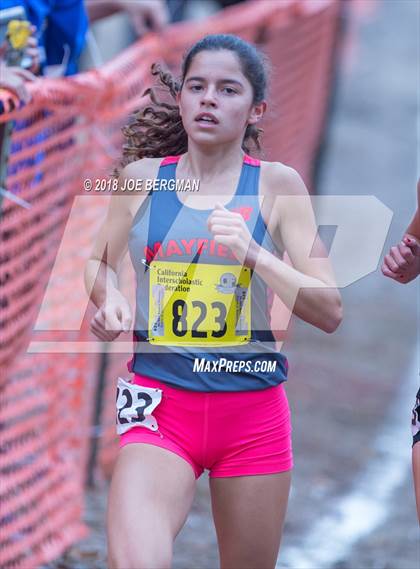 Thumbnail 1 in CIF State Cross Country Championships (Girls D4 Race) photogallery.
