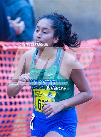 Thumbnail 2 in CIF State Cross Country Championships (Girls D4 Race) photogallery.