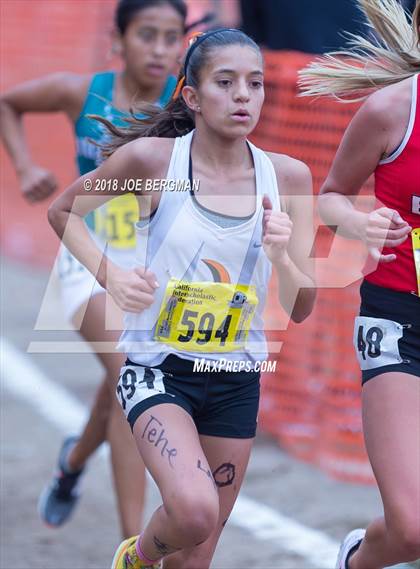 Thumbnail 3 in CIF State Cross Country Championships (Girls D4 Race) photogallery.