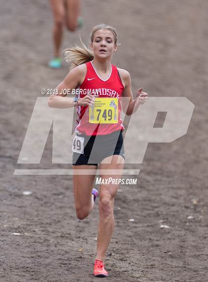 Thumbnail 1 in CIF State Cross Country Championships (Girls D4 Race) photogallery.