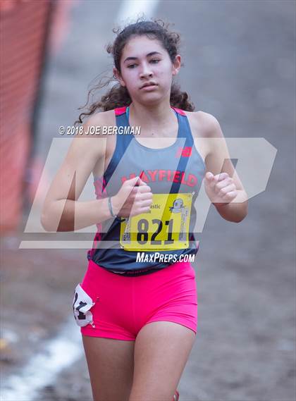 Thumbnail 1 in CIF State Cross Country Championships (Girls D4 Race) photogallery.