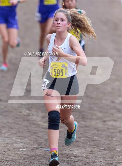Thumbnail 1 in CIF State Cross Country Championships (Girls D4 Race) photogallery.
