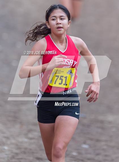 Thumbnail 1 in CIF State Cross Country Championships (Girls D4 Race) photogallery.