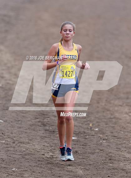 Thumbnail 2 in CIF State Cross Country Championships (Girls D4 Race) photogallery.