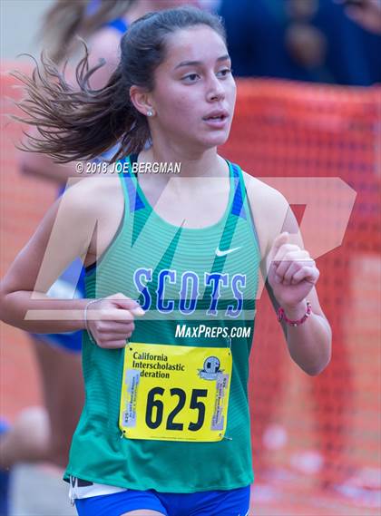 Thumbnail 1 in CIF State Cross Country Championships (Girls D4 Race) photogallery.