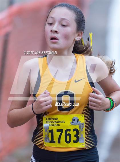 Thumbnail 2 in CIF State Cross Country Championships (Girls D4 Race) photogallery.