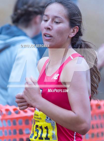 Thumbnail 3 in CIF State Cross Country Championships (Girls D4 Race) photogallery.