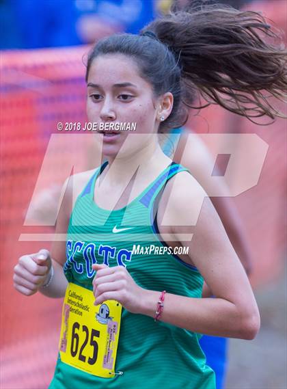 Thumbnail 1 in CIF State Cross Country Championships (Girls D4 Race) photogallery.