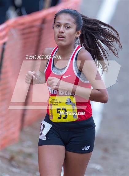 Thumbnail 1 in CIF State Cross Country Championships (Girls D4 Race) photogallery.