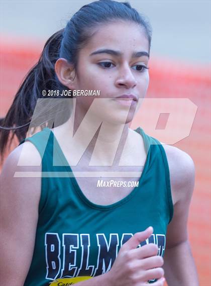 Thumbnail 1 in CIF State Cross Country Championships (Girls D4 Race) photogallery.