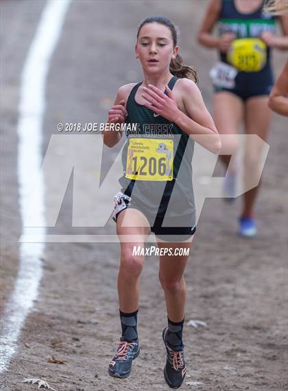 Thumbnail 1 in CIF State Cross Country Championships (Girls D4 Race) photogallery.