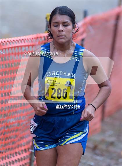 Thumbnail 3 in CIF State Cross Country Championships (Girls D4 Race) photogallery.
