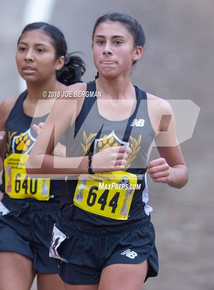 Thumbnail 2 in CIF State Cross Country Championships (Girls D4 Race) photogallery.