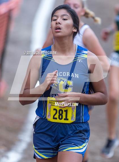 Thumbnail 1 in CIF State Cross Country Championships (Girls D4 Race) photogallery.
