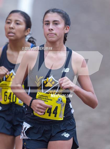 Thumbnail 3 in CIF State Cross Country Championships (Girls D4 Race) photogallery.