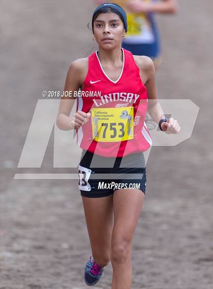 Thumbnail 1 in CIF State Cross Country Championships (Girls D4 Race) photogallery.