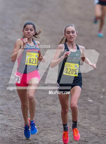 Thumbnail 3 in CIF State Cross Country Championships (Girls D4 Race) photogallery.