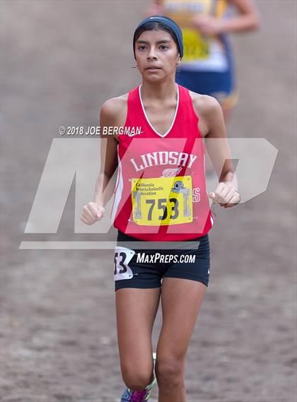 Thumbnail 2 in CIF State Cross Country Championships (Girls D4 Race) photogallery.