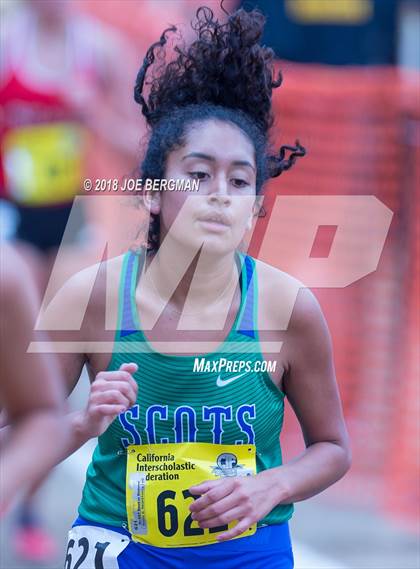 Thumbnail 2 in CIF State Cross Country Championships (Girls D4 Race) photogallery.