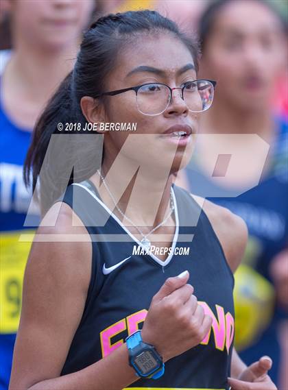 Thumbnail 2 in CIF State Cross Country Championships (Girls D4 Race) photogallery.