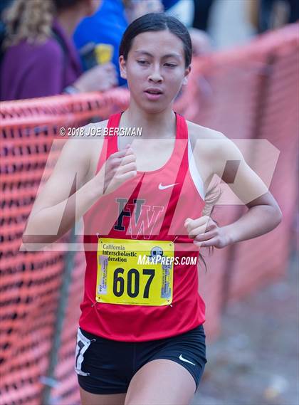 Thumbnail 1 in CIF State Cross Country Championships (Girls D4 Race) photogallery.