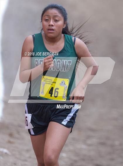Thumbnail 3 in CIF State Cross Country Championships (Girls D4 Race) photogallery.