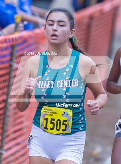 Thumbnail 1 in CIF State Cross Country Championships (Girls D4 Race) photogallery.