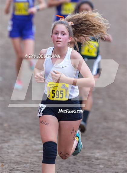 Thumbnail 2 in CIF State Cross Country Championships (Girls D4 Race) photogallery.