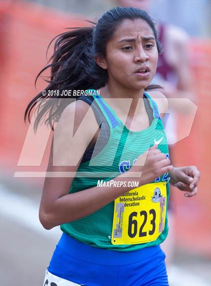 Thumbnail 3 in CIF State Cross Country Championships (Girls D4 Race) photogallery.