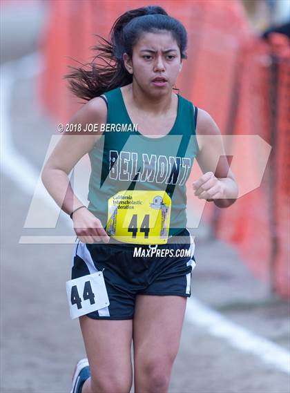 Thumbnail 1 in CIF State Cross Country Championships (Girls D4 Race) photogallery.