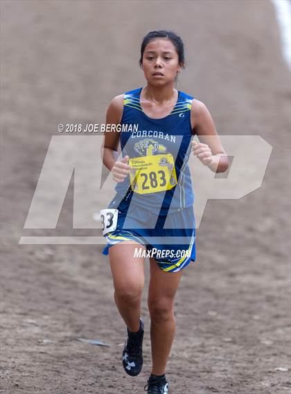 Thumbnail 1 in CIF State Cross Country Championships (Girls D4 Race) photogallery.