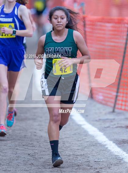 Thumbnail 2 in CIF State Cross Country Championships (Girls D4 Race) photogallery.