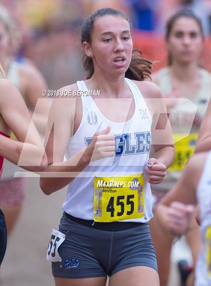 Thumbnail 2 in CIF State Cross Country Championships (Girls D4 Race) photogallery.