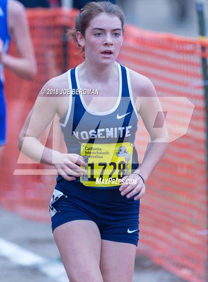 Thumbnail 1 in CIF State Cross Country Championships (Girls D4 Race) photogallery.