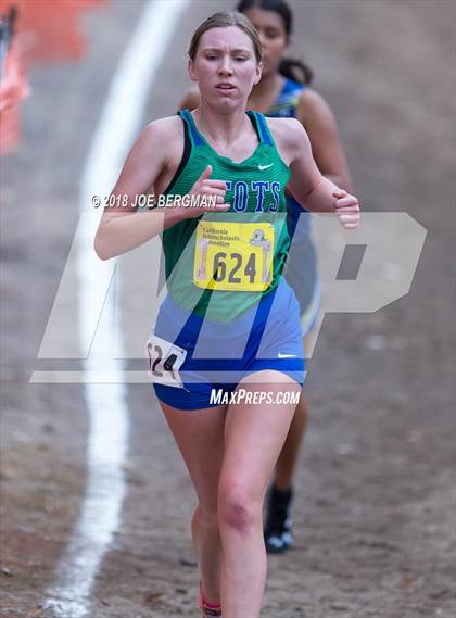 Thumbnail 1 in CIF State Cross Country Championships (Girls D4 Race) photogallery.