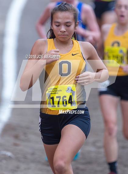 Thumbnail 1 in CIF State Cross Country Championships (Girls D4 Race) photogallery.